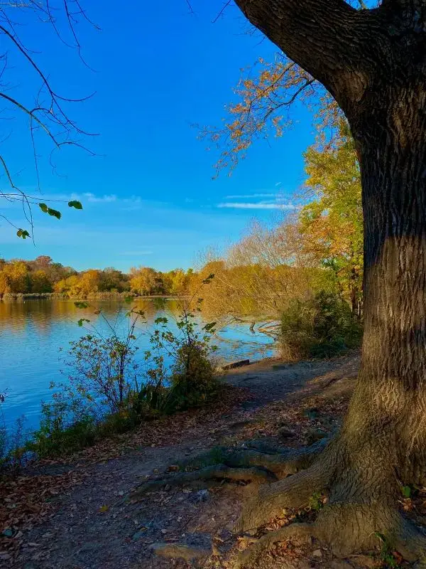 Autumn in NYC is Stunning