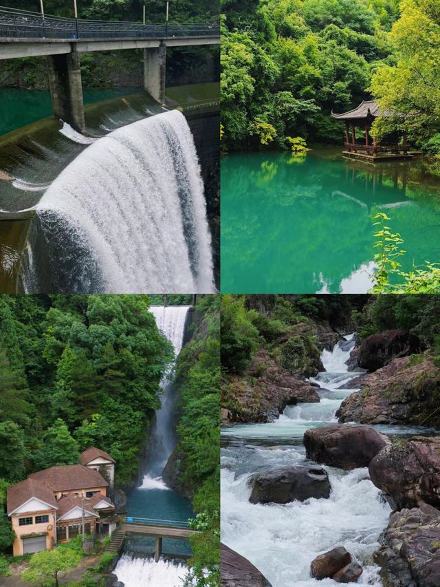 不做冤大頭天目山旅遊避雷||全攻略。