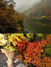翠華山探秘之旅，西安的自然寶藏。
