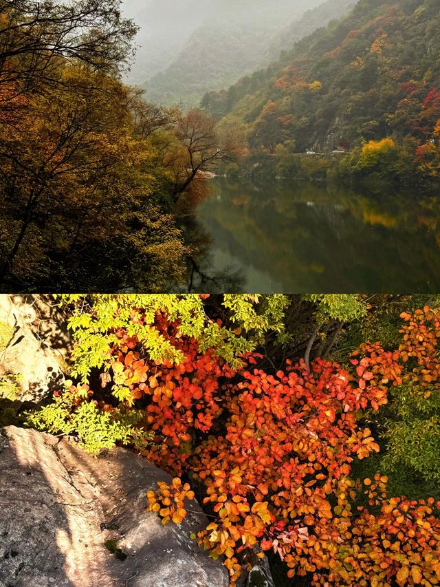 翠華山探秘之旅，西安的自然寶藏。
