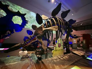 Spend summer in the southern hemisphere with a 10-day family trip to Sydney (Part 4).