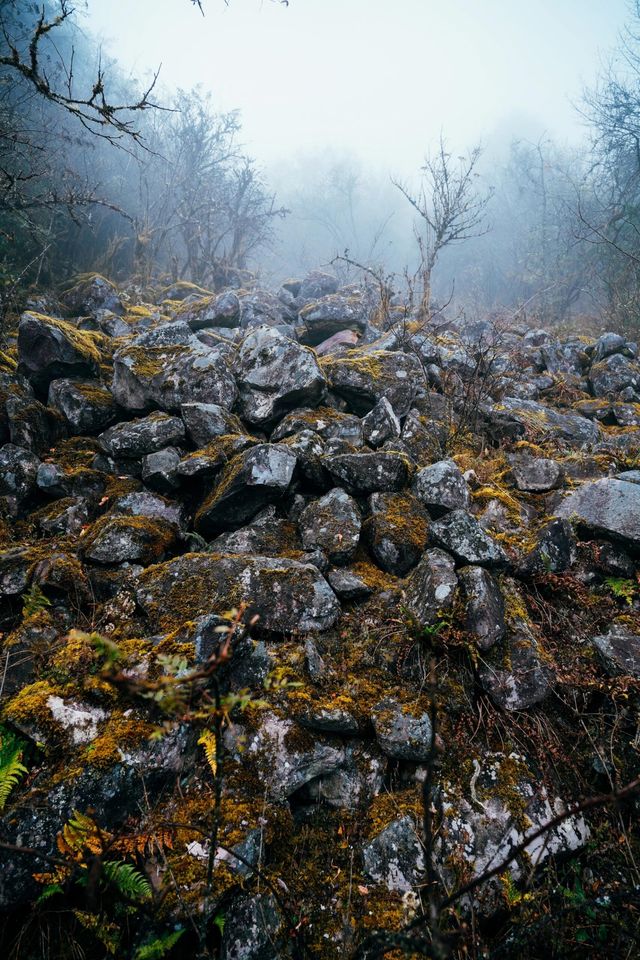 西昌螺髻山，秋日野趣，你以為的冬天，才是它的秋天