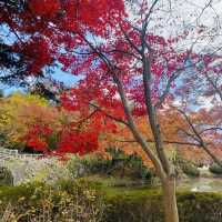 경주 여행 추천 코스 세계문화유산 불국사 