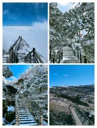 到看雪山的季節啦！！！