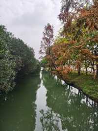 週末不知道去哪裡就來嘉北郊野公園放鬆下心情吧！