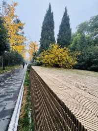 西安~唐城牆遺址公園秋景