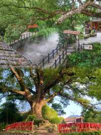 麗水·古堰畫鄉|畫裡水鄉,心靈歸處
