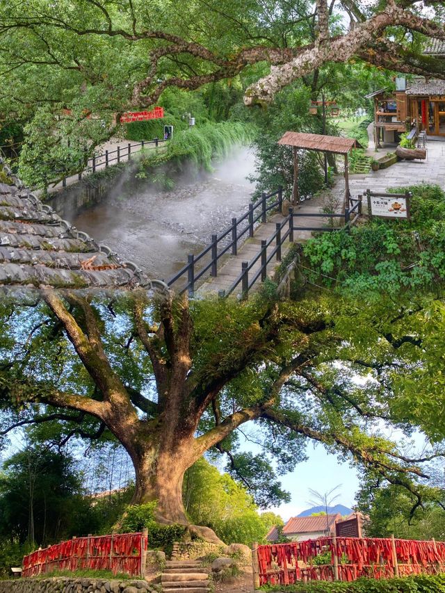 麗水·古堰畫鄉|畫裡水鄉,心靈歸處 麗水·古堰畫鄉|畫裡水鄉,心靈歸處