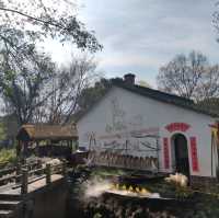 冬日不一樣的西溪湿地公園