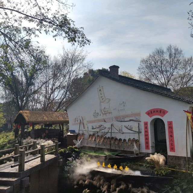 冬日不一樣的西溪湿地公園