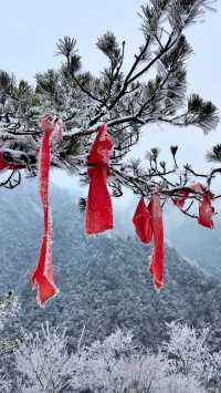賞雪光霧山，邂逅夢幻冬景