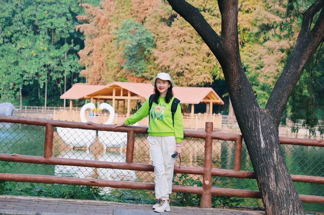 冬日暖陽下的奇妙之旅！深圳野生動物園攻略