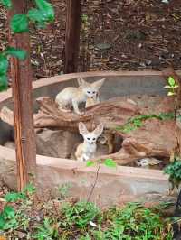 重慶周邊遊｜童話樂園新年永川樂和樂都