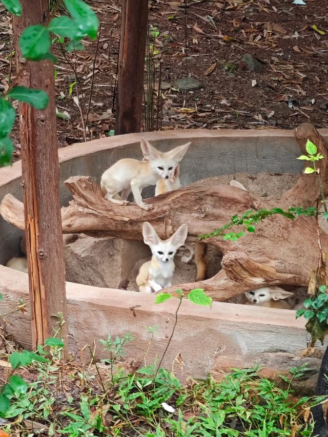 重慶周邊遊｜童話樂園新年永川樂和樂都
