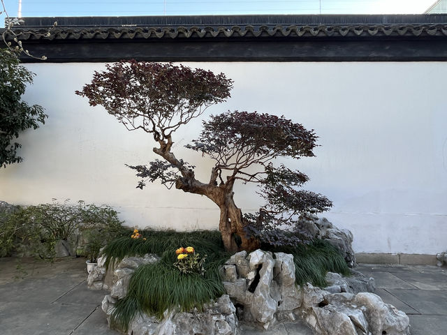 蘇州教育博物館（柴園）