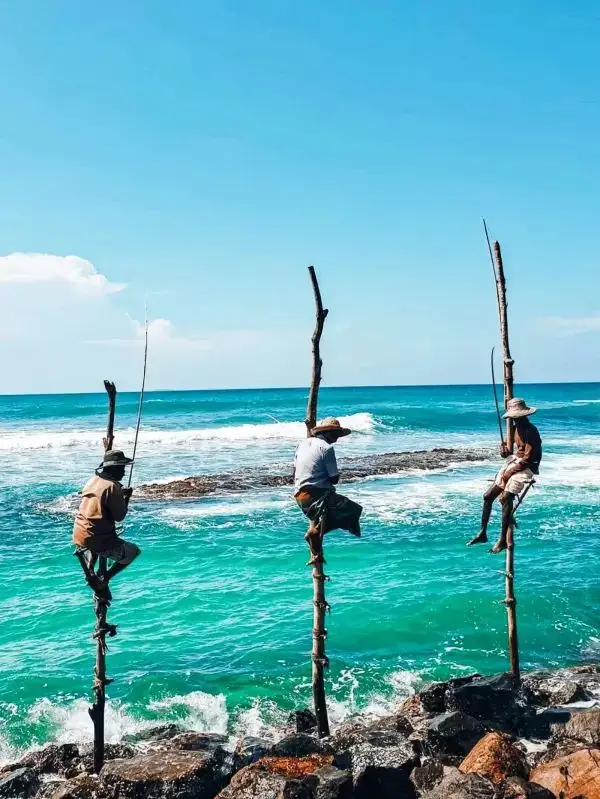 Explore Sri Lanka: An 8-Day Adventure for Just Over $4000!