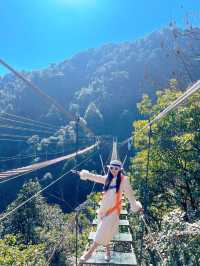 在贛州三百山盡享天然療癒之旅 