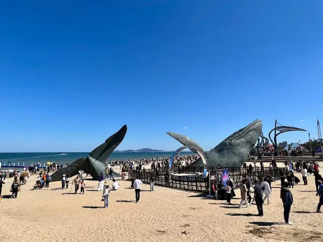 邂逅煙台金沙灘，擁抱海濱浪漫