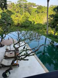 烏布的隱秘天堂 | Ubud Hidden Paradise   酒店：烏布坦加裕達考曼卡酒店 