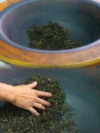 超治癒綠野仙蹤茶壺童話世界🫖英德茶趣園