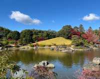 日本堺市大仙公園｜隱藏在城市中的趣味遊玩寶藏地