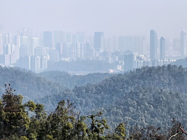 桃花嶺山脊線-嶽麓山穿越
