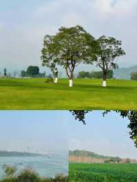重慶春日踏青出遊好去處：廣陽島