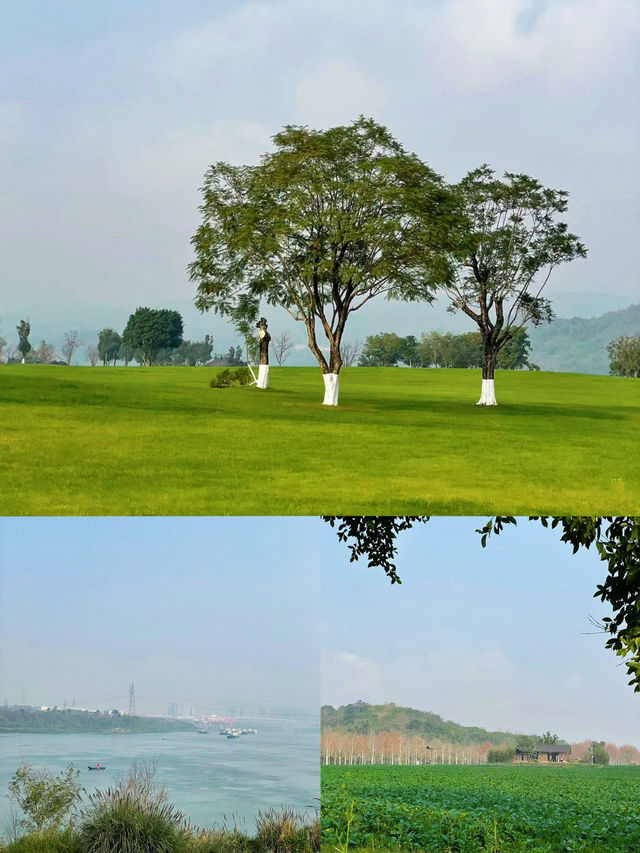 重慶春日踏青出遊好去處：廣陽島