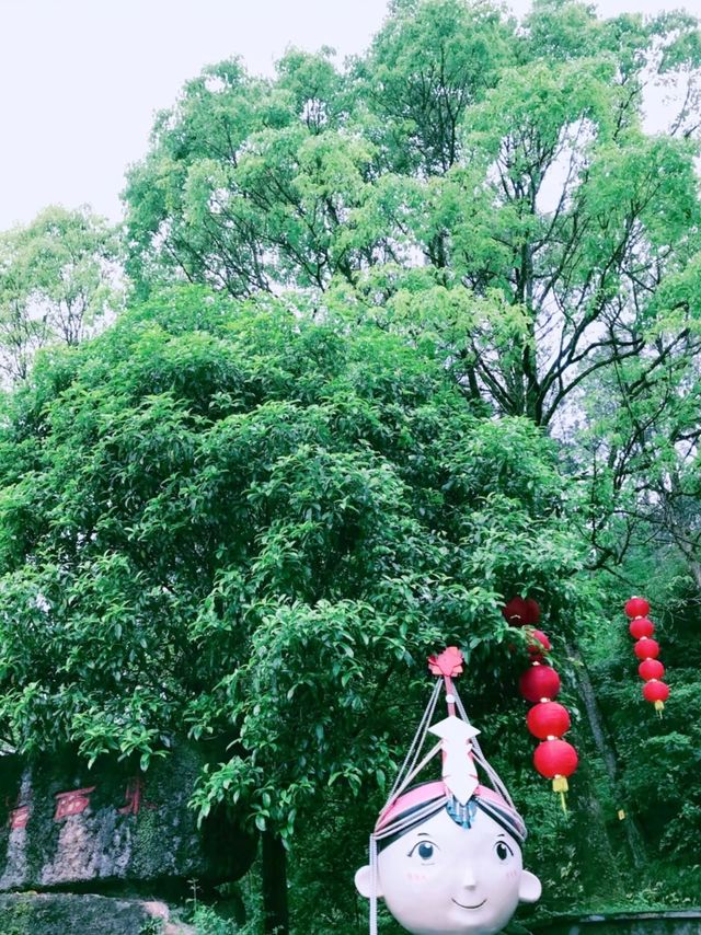 山林吸氧記麗水東西岩
