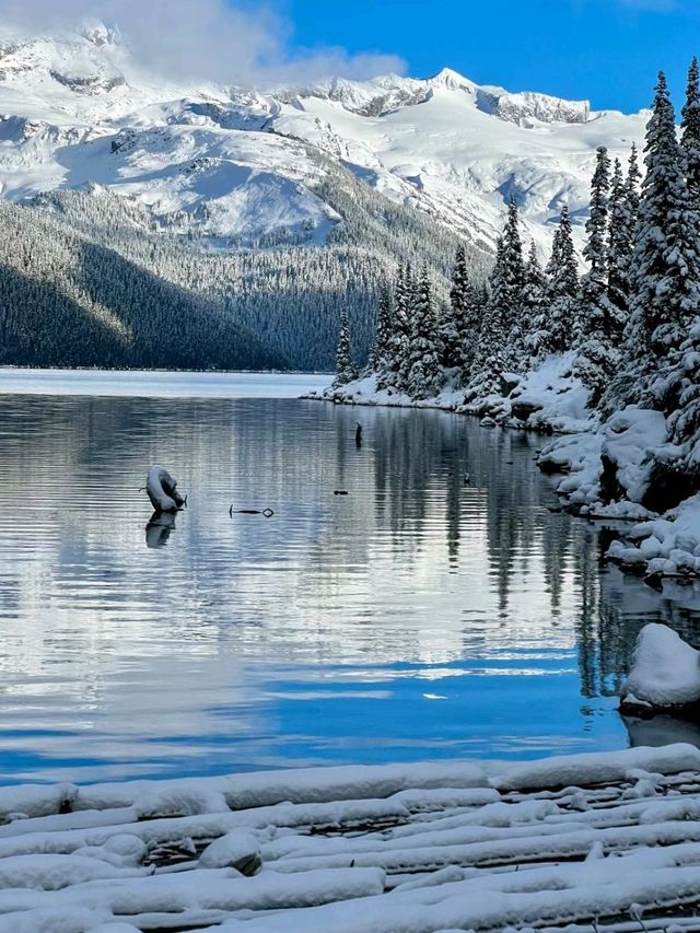 Whta an adventurous day at Garibaldi Lake❤️