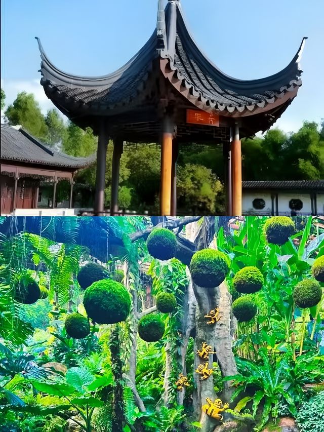 南寧，冬季旅遊好去處。