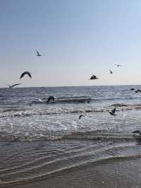 秦皇島2日遊 邊玩邊泡真溫泉