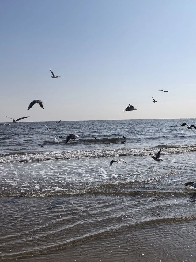 秦皇島2日遊 邊玩邊泡真溫泉