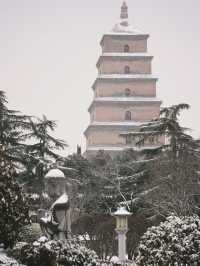 有多少人在等一場西安的大雪，雪落滿長安～
