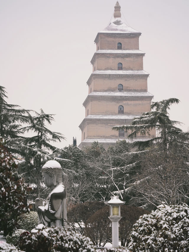 有多少人在等一場西安的大雪，雪落滿長安～