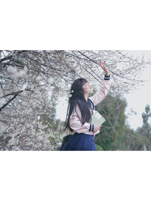 成都春日限定｜白梅花與JK少女，美得犯規！