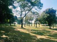 深圳南山區著名景點：中山公園，適合拍照打卡觀光旅遊。 