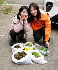 成都周邊9個打野菜好地方週末戶外好去處