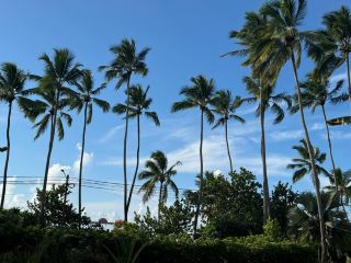 Punta Cana, Dominican Republic: A Seaside Escape