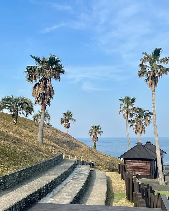 日本·宮崎 | 打卡日南海岸的「摩艾石像」！