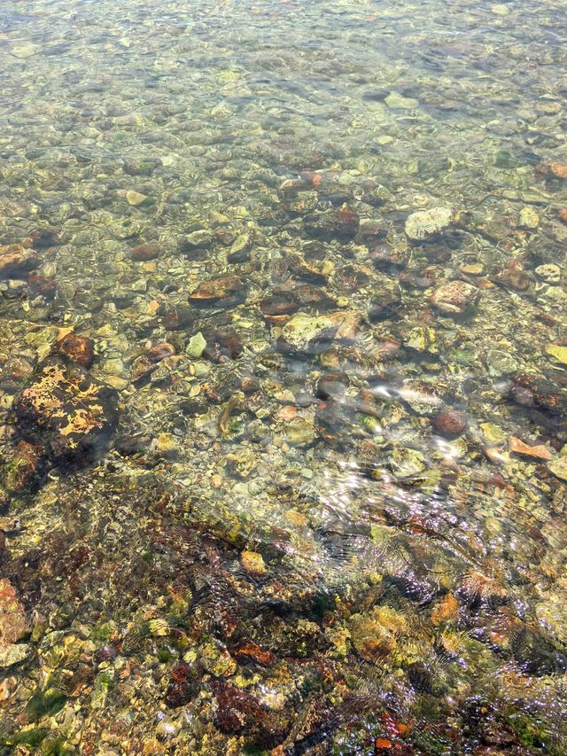 不愧是深圳海景天花板