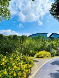 上海95%人不知道的寶藏公園捉蟹觀海