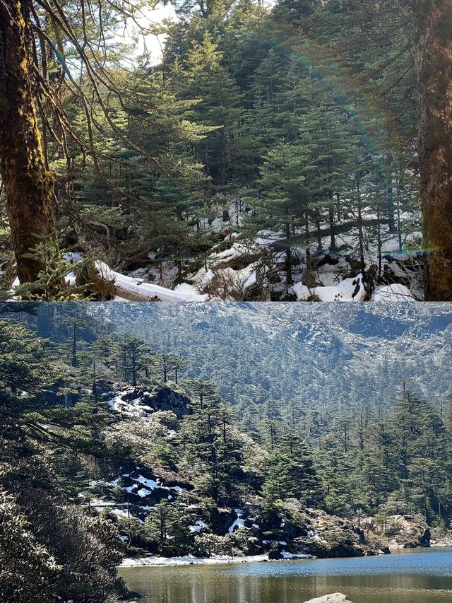 承包整片仙境的雪山秘境