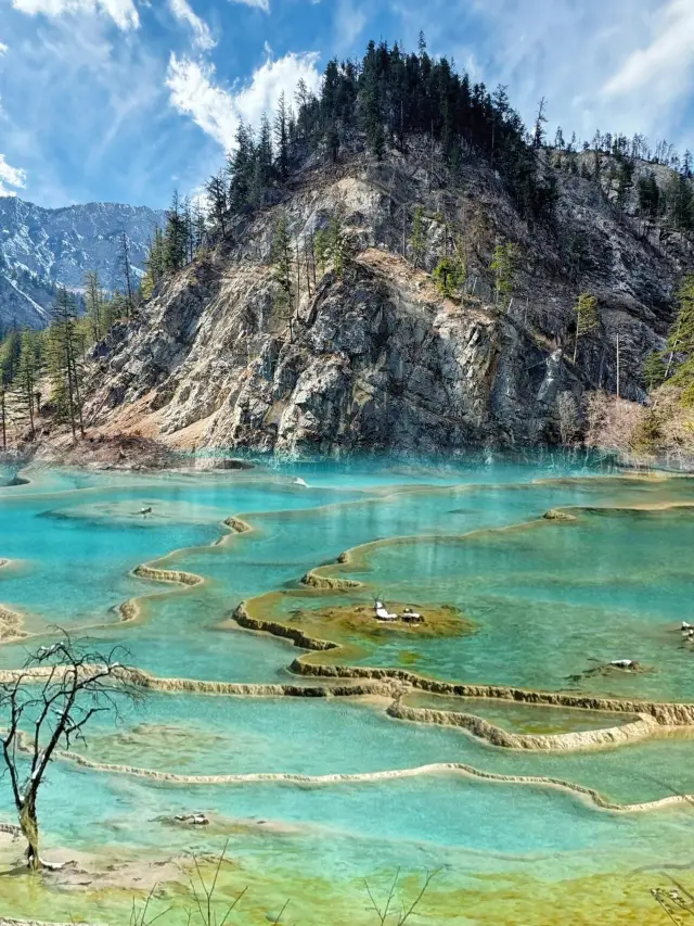 Who knew Jiuzhaigou in March was such a wonderland?