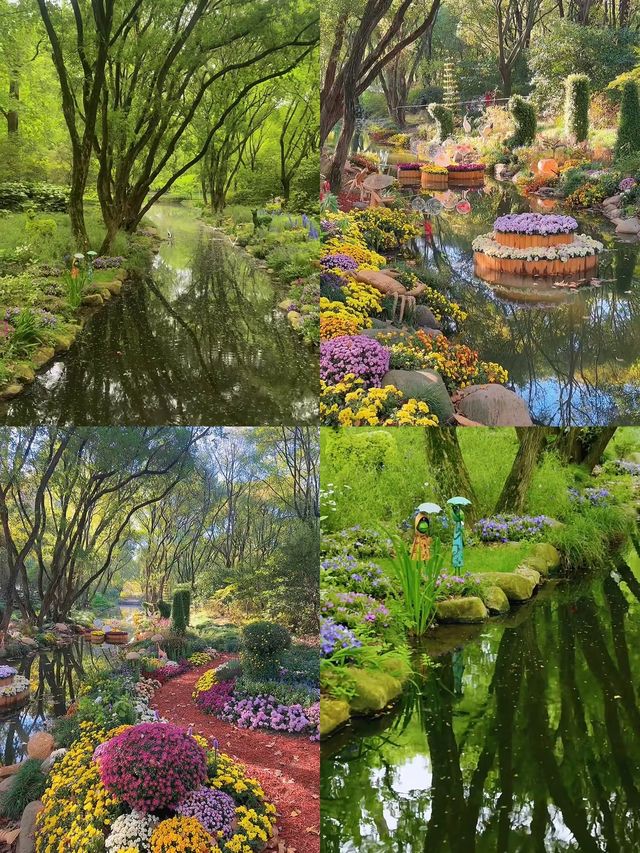 魔都「莫奈花園」—共青森林公園這片秘境，美到犯規！