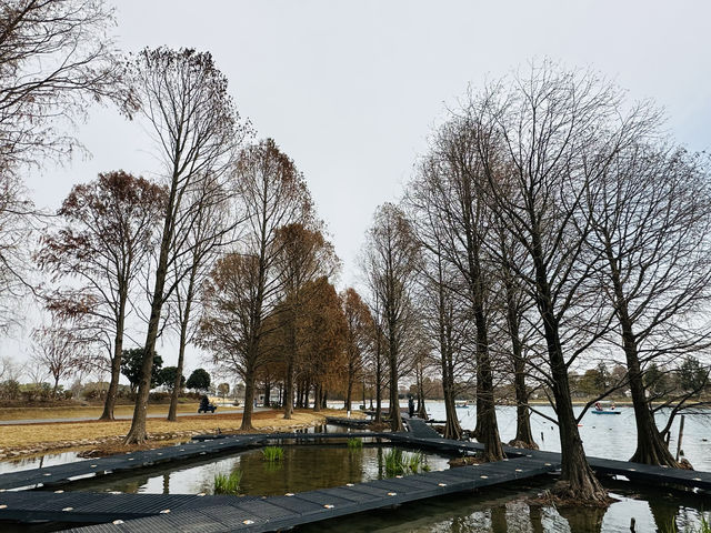 上海辰山植物園