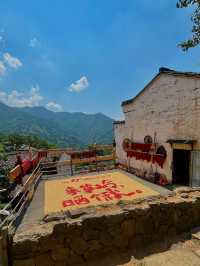 清明小長假 九江-景德鎮-上饒遊玩全攻略