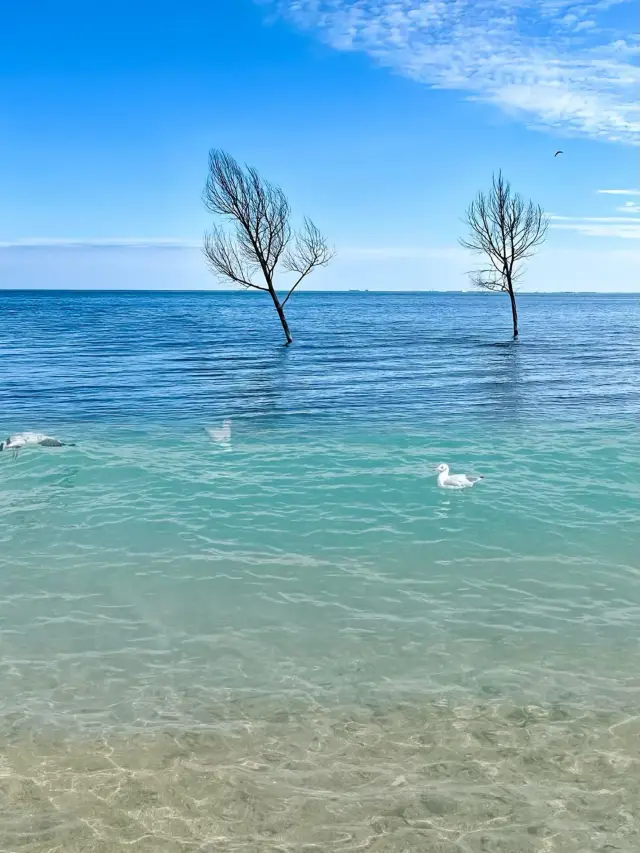 3월 칭하이호에 다녀왔습니다. 솔직한 후기를 들려드릴게요.