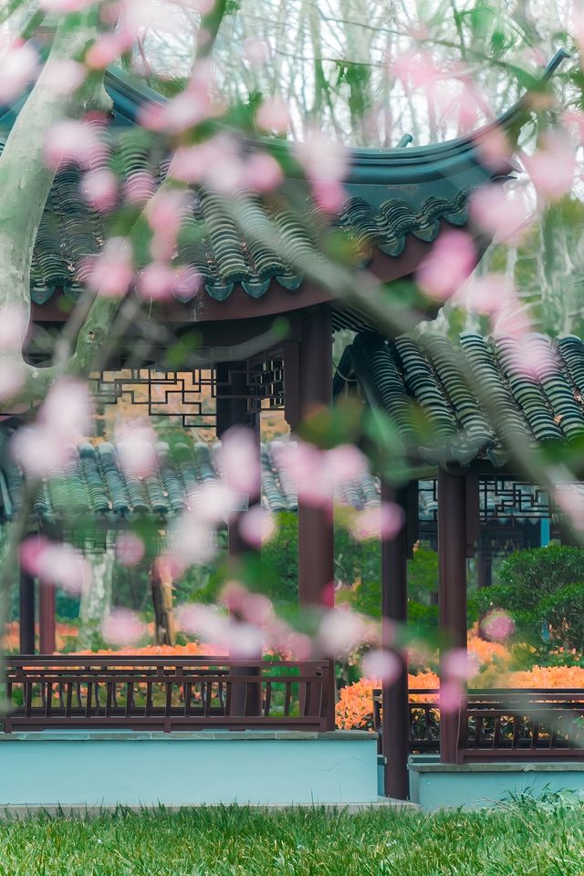 藏身於市區的小眾賞花勝地，人少花多超好拍！