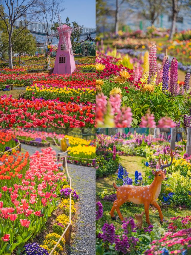 讓我看看是哪位公主還沒來過自家後花園！！